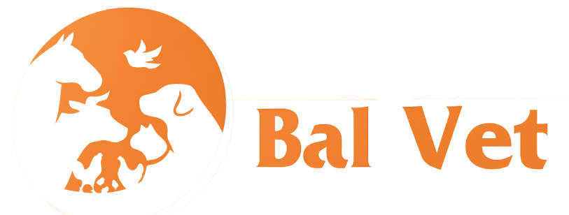 BALVET Logo